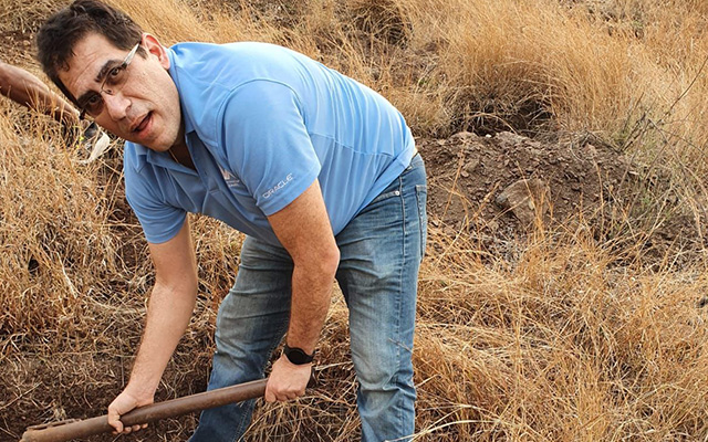 Plantation Drive With 14Trees — photograph 3